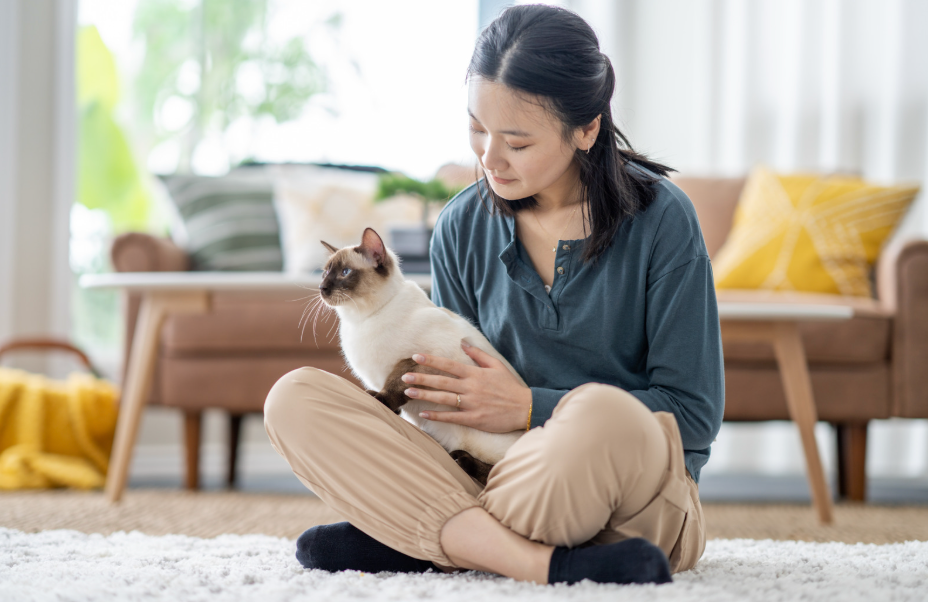 Cat with owner 
