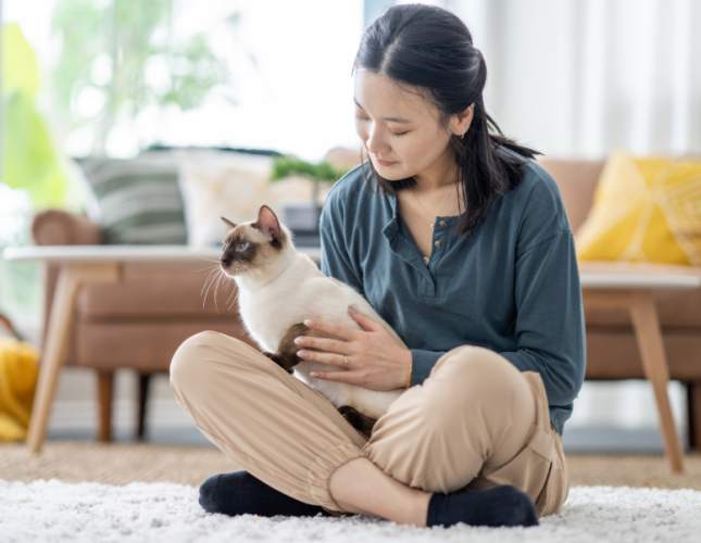 10 Common Pet Toxins Lurking in Your Home
