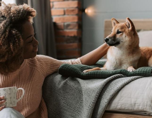 Curious Pets and Hidden Dangers: How to Prevent Your Pet from Swallowing Harmful Object