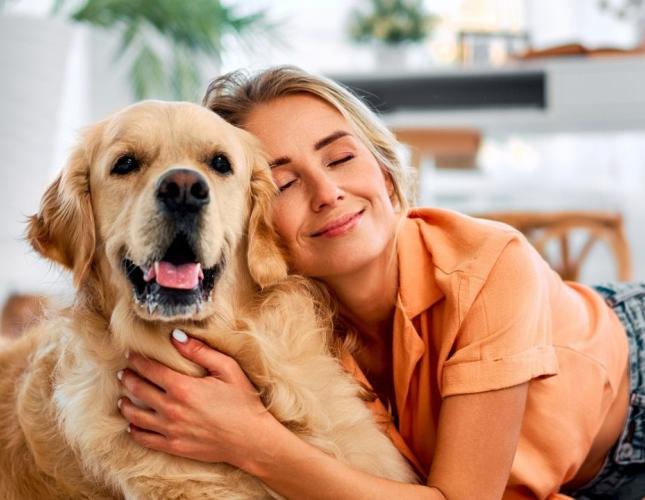 When Pets Explore the Unexpected: A Guide from Canyon View Cares Layton