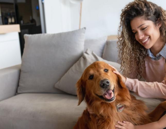 A Fresh Start Without the Risks: How Spring Cleaning Can Impact Your Pet’s Health and Safety