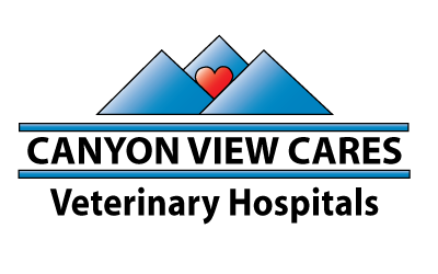 Canyon View Cares - Layton